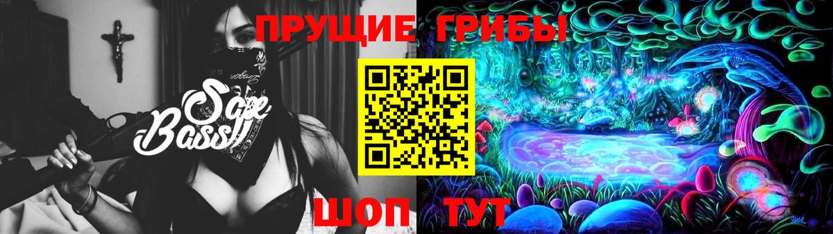 Псилоцибиновые грибы Cubensis Сальск