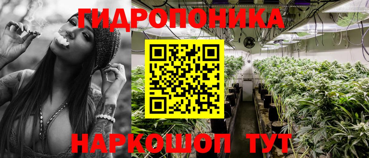 Бошки марихуана план  Шишки марихуана Bruce Banner  Вход с VPN  Шишки марихуана гибрид  Сальск 